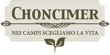 CHONCIMER Logo